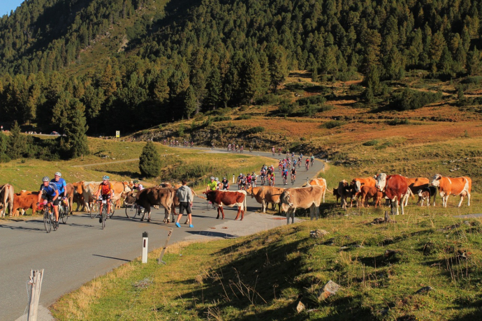 sportograf-68825349