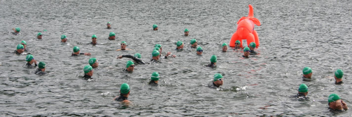 Twistesee_rosaElefant_Schwimmstart